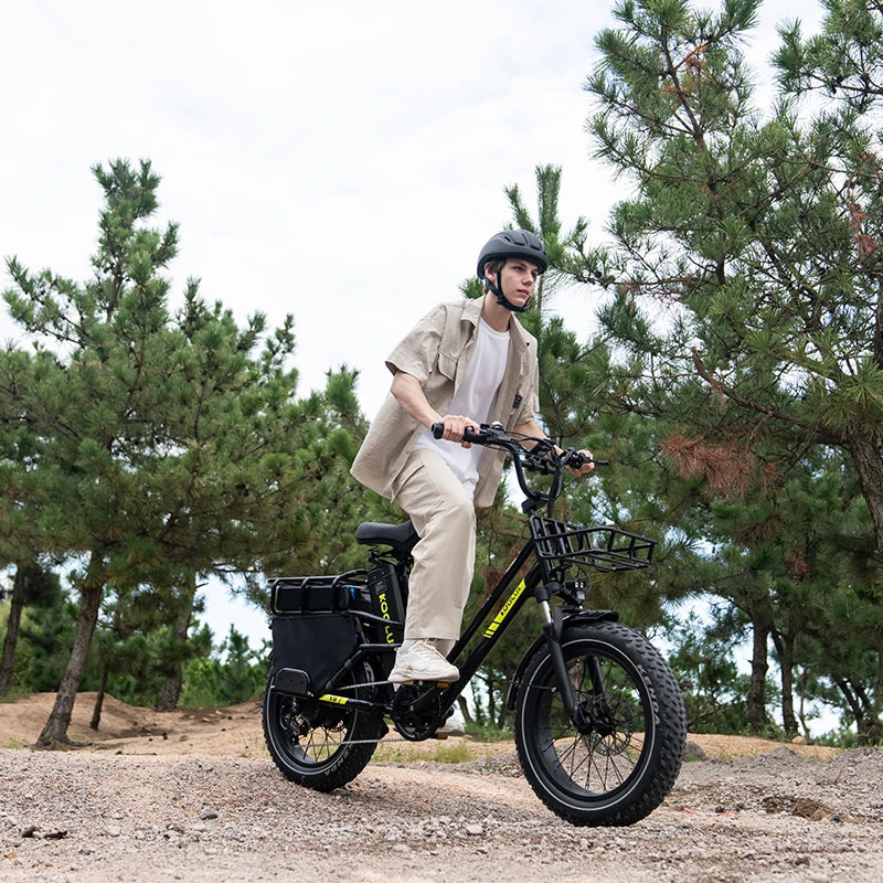 EU Warehouse KOOLUX X8 High-Performance Aluminum Alloy 7-Speed Fat Tire Cargo Bike Frame Lithium Battery 48V 65AH Long Range