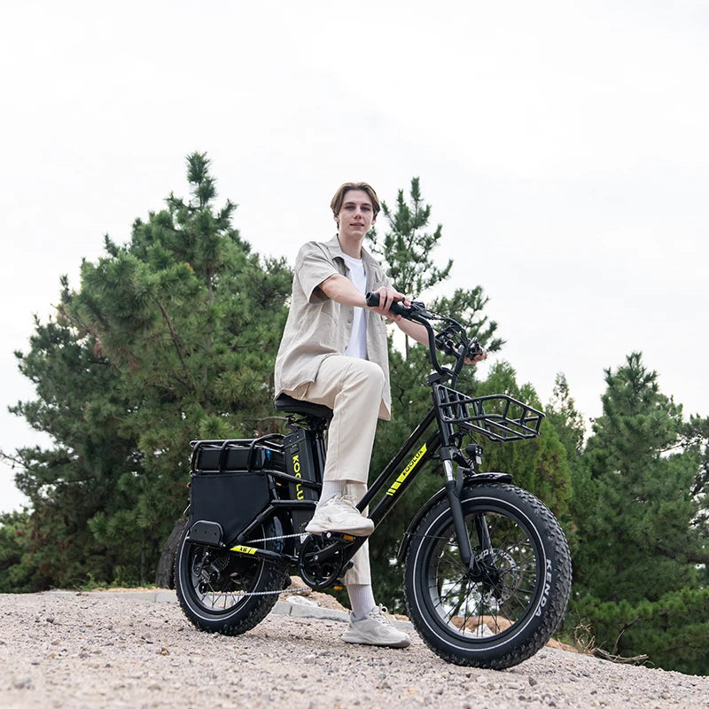 EU Warehouse KOOLUX X8 High-Performance Aluminum Alloy 7-Speed Fat Tire Cargo Bike Frame Lithium Battery 48V 65AH Long Range