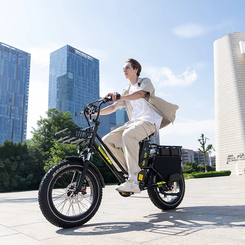 EU Warehouse KOOLUX X8 High-Performance Aluminum Alloy 7-Speed Fat Tire Cargo Bike Frame Lithium Battery 48V 65AH Long Range