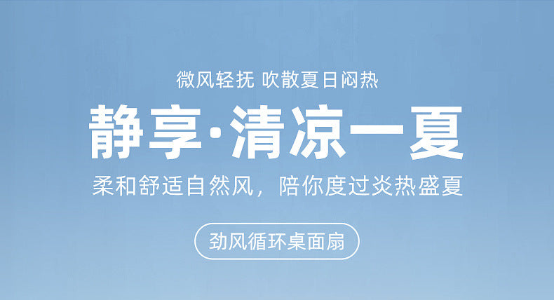 Desktop Electric Fan Large Wind Turbine Small Fan Office Household Desk Fan Silent Electric Fan Air Circulation Fan