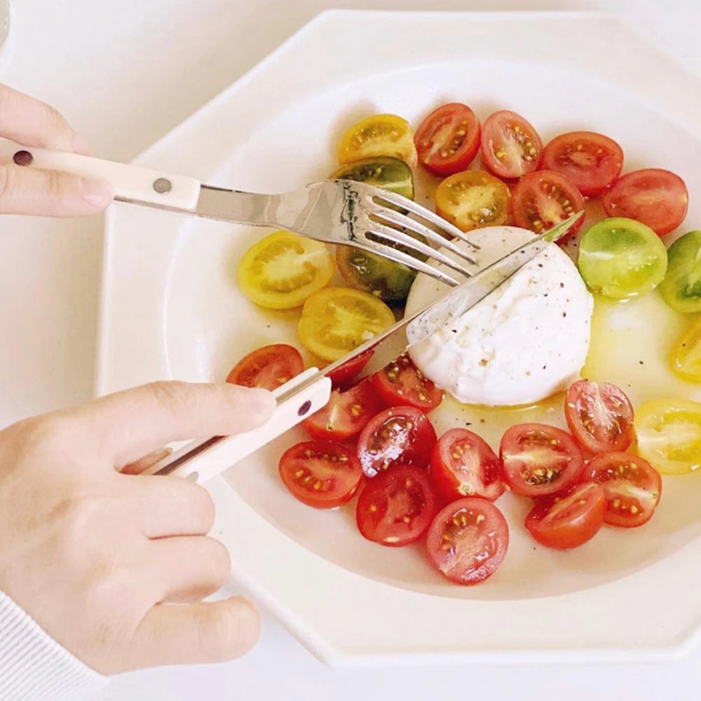 Fashionable Design Top Mirror Polishing Cutlery Sets Stainless Steel 18/8(304) ABS Handle With Rivets Silverware Set For Kitchen