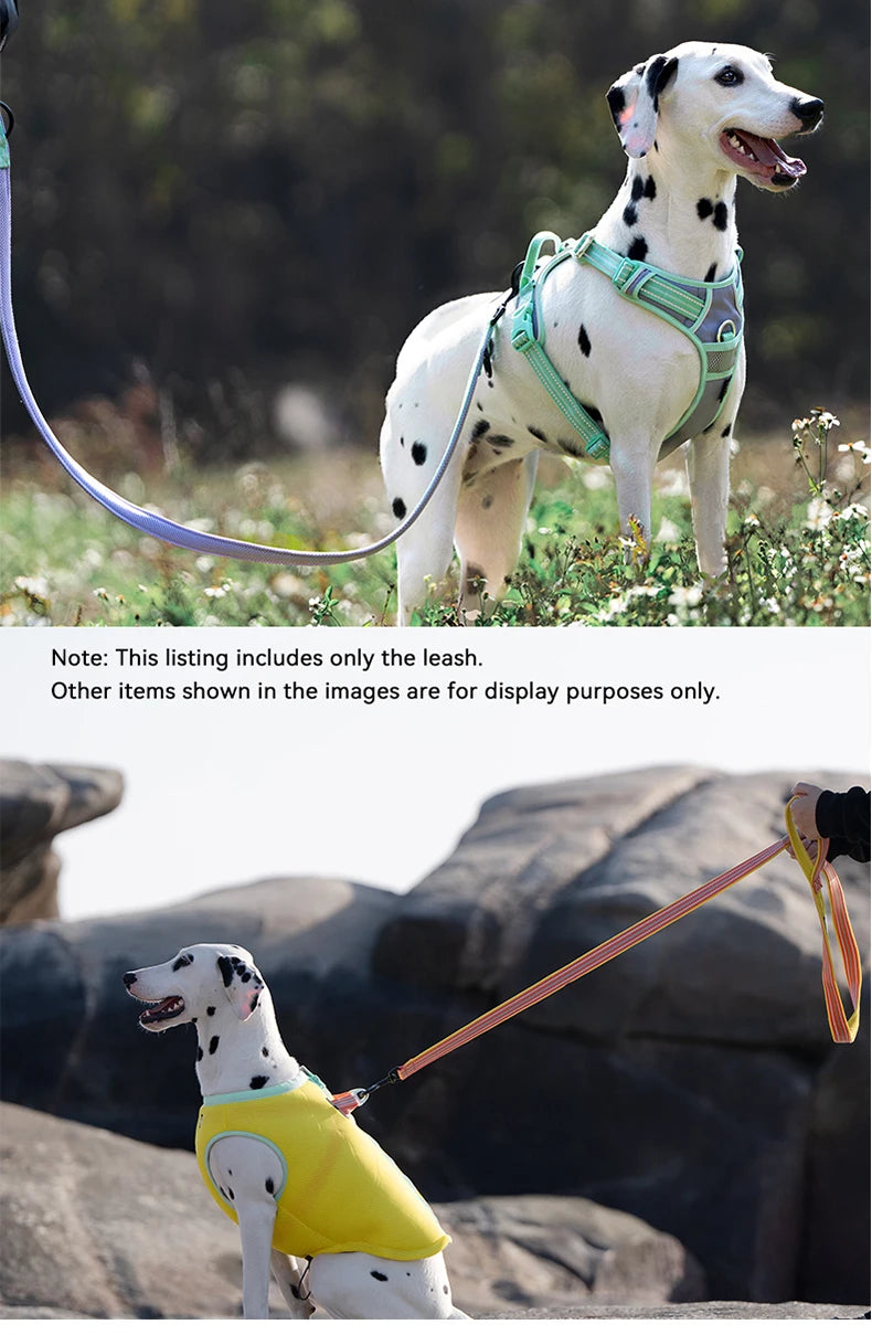 Truelove Soft Dog Pet Leash in Harness and Collar Reflective Nylon Cat Mesh Walking Training 11 Color Length 110cm TLL2111