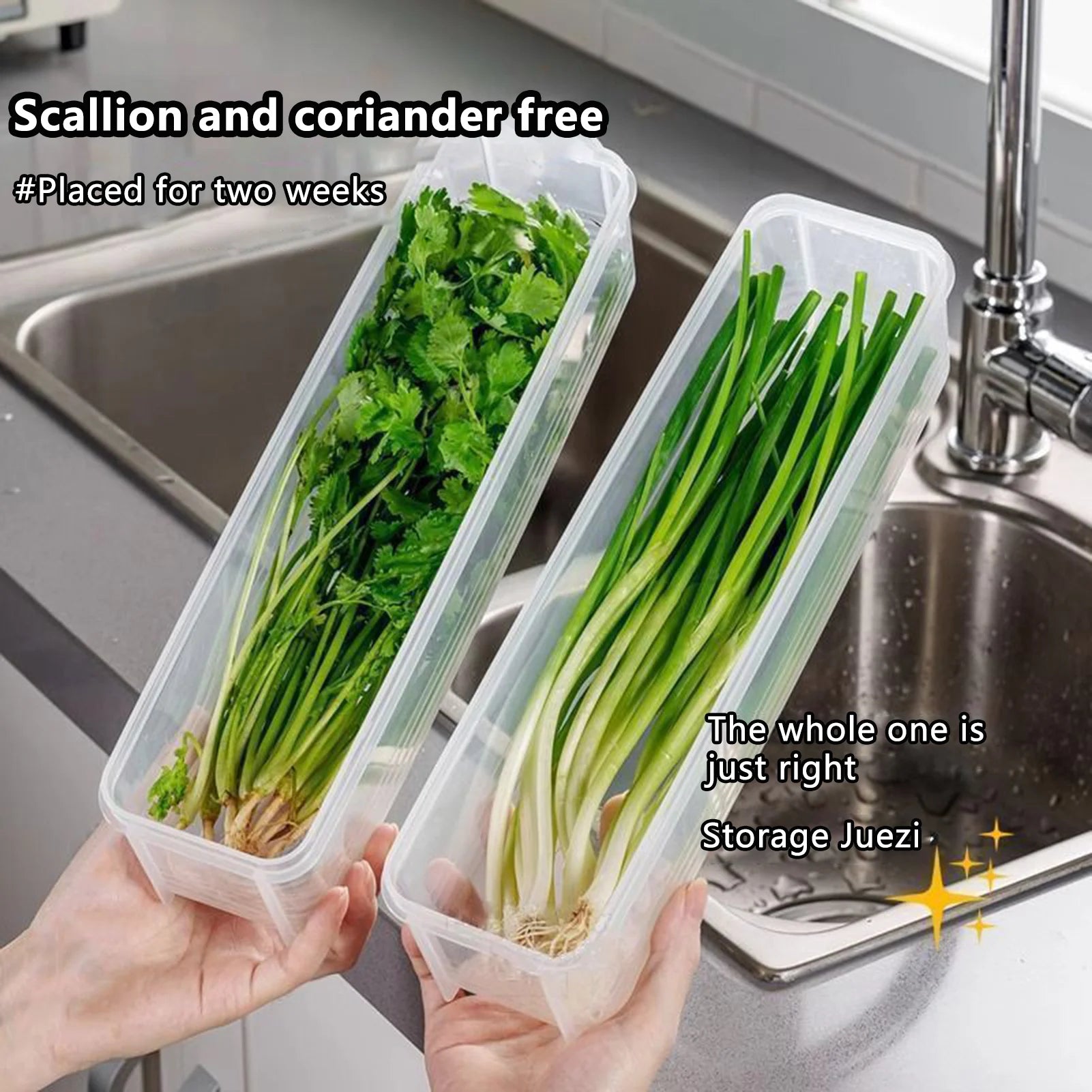 Cilantro Scallion Storage Box Refrigerator Fresh Keeper Container With Lid Vegetables Eggs Noodles Sealing Kitchen Organizer