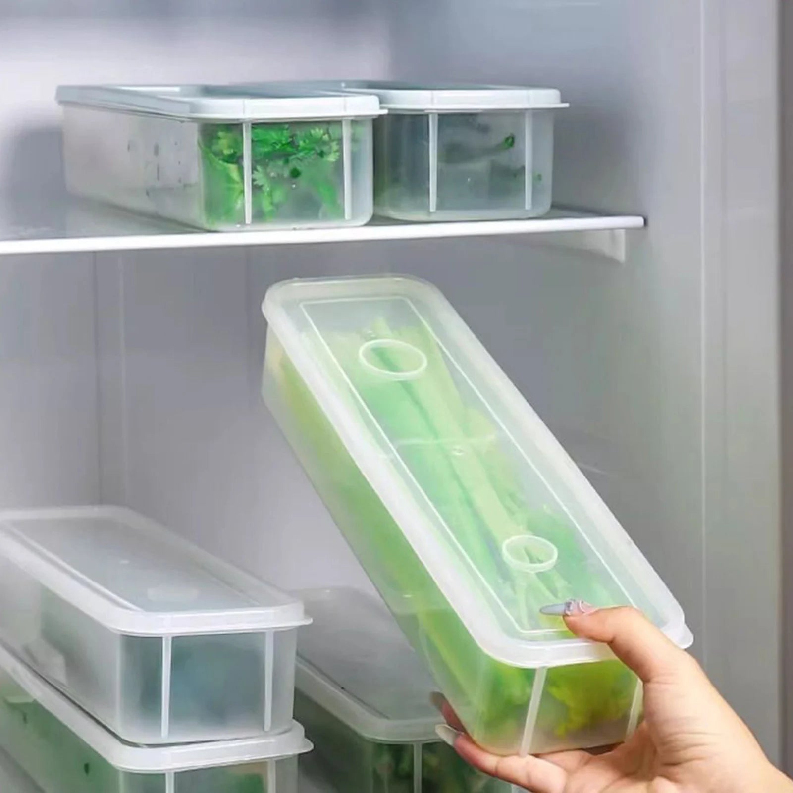 Cilantro Scallion Storage Box Refrigerator Fresh Keeper Container With Lid Vegetables Eggs Noodles Sealing Kitchen Organizer