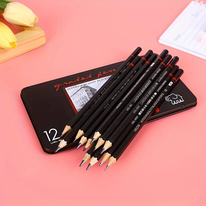 12 Pcs Premium Wood Sketching Pencils Set Professional Drawing 2H-8B Graphite Drawing Pencils for Artists School Art Supplies