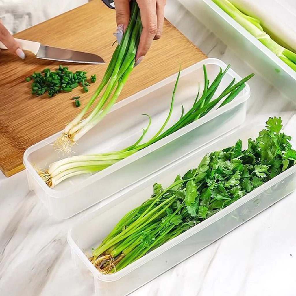 Cilantro Scallion Storage Box Refrigerator Fresh Keeper Container With Lid Vegetables Eggs Noodles Sealing Kitchen Organizer