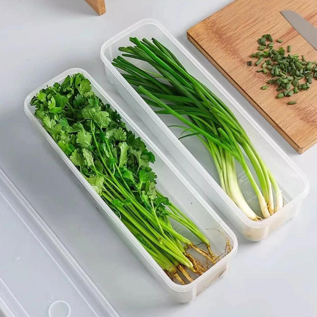 Cilantro Scallion Storage Box Refrigerator Fresh Keeper Container With Lid Vegetables Eggs Noodles Sealing Kitchen Organizer