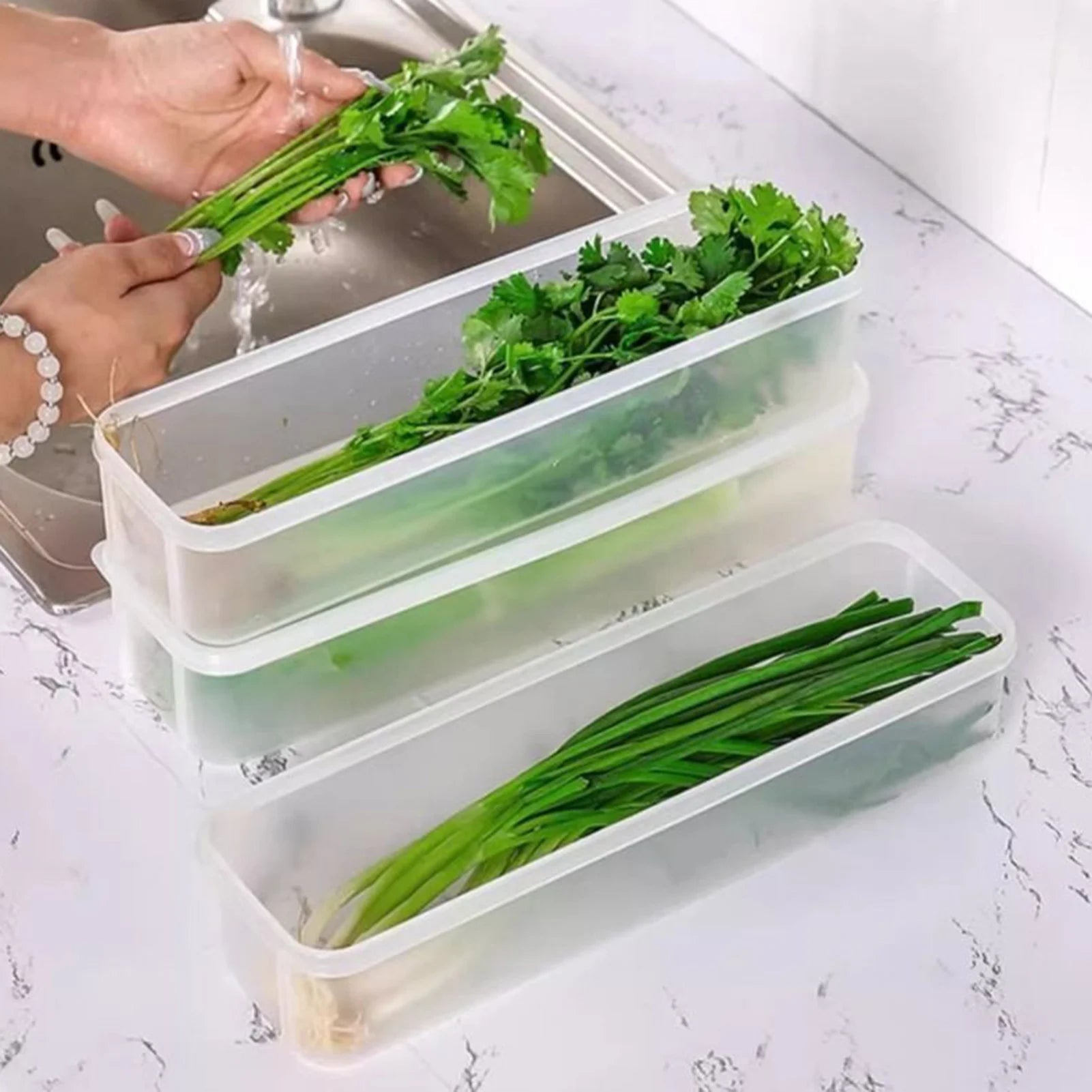 Cilantro Scallion Storage Box Refrigerator Fresh Keeper Container With Lid Vegetables Eggs Noodles Sealing Kitchen Organizer